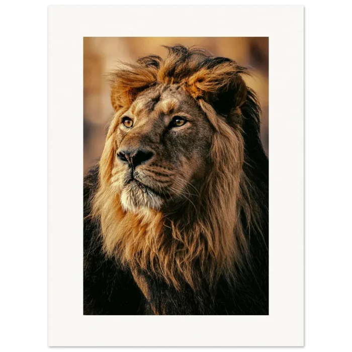 186b0406-8650-48de-bdcd-ca5f37cf487e