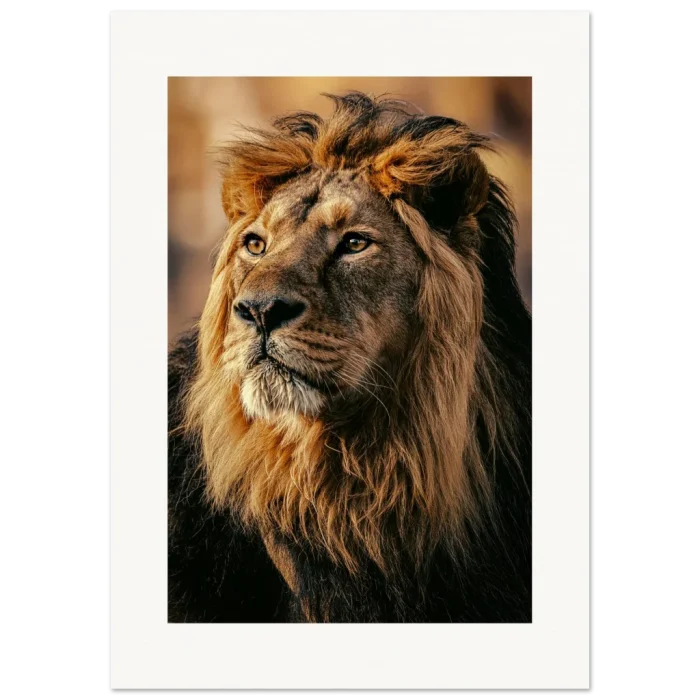 19e2cc98-e4c5-44d2-8397-0a66d39507aa