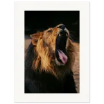 19f70c98-54b1-43bf-93b9-9b14ef849bda