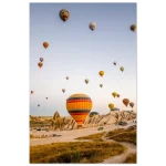 19fcee91-2569-44f9-a102-f6e7d57d94e4