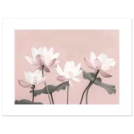 1afb8a94-3800-4c76-b3f9-0e6ef1244a5d