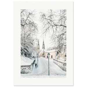 1d2d6d98-ea5f-4673-95c2-10e41ee8e7e1