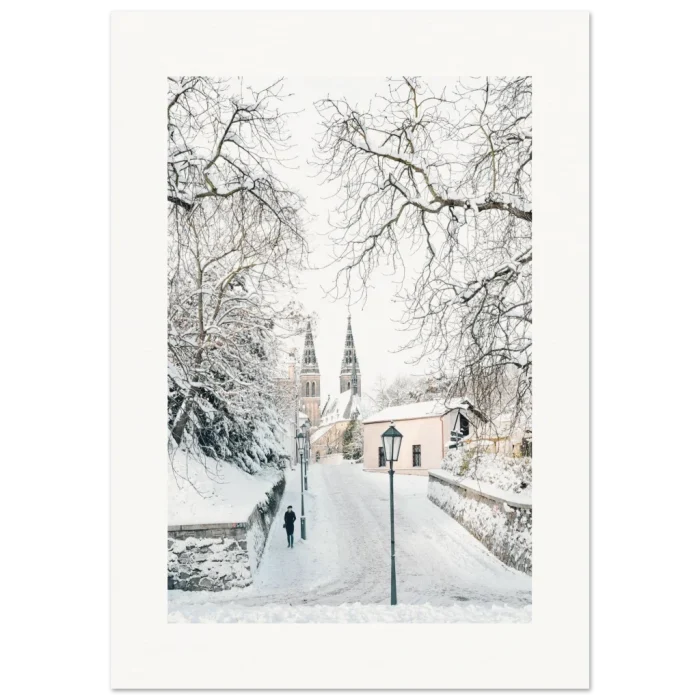 1d78f556-57e2-4494-b707-e5651555eabb