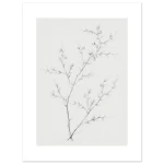 1d7e970b-d810-4b81-85ec-767e3fdab404