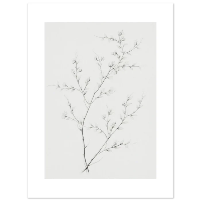 1d7e970b-d810-4b81-85ec-767e3fdab404