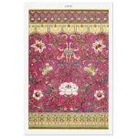 1e0732c5-22e0-4c85-b273-d0c8db3be3e8