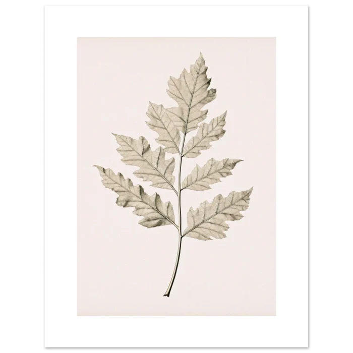 1efd0492-e9c8-4b94-86d4-83d67ab44cdf