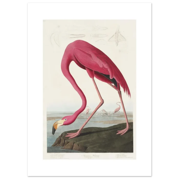 1fe138e6-a902-4d8f-9f93-ac61e89d498c