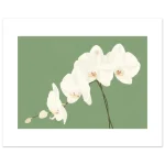 2009dadf-f36f-44db-a280-32766a52c5bf