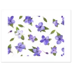 2099792f-6269-4401-b80d-b677bc1686ae