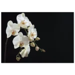 20d8cda3-ef6c-456d-a3c4-5de51aac1b46