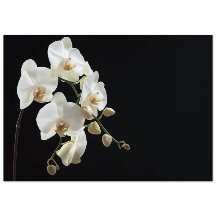 20d8cda3-ef6c-456d-a3c4-5de51aac1b46