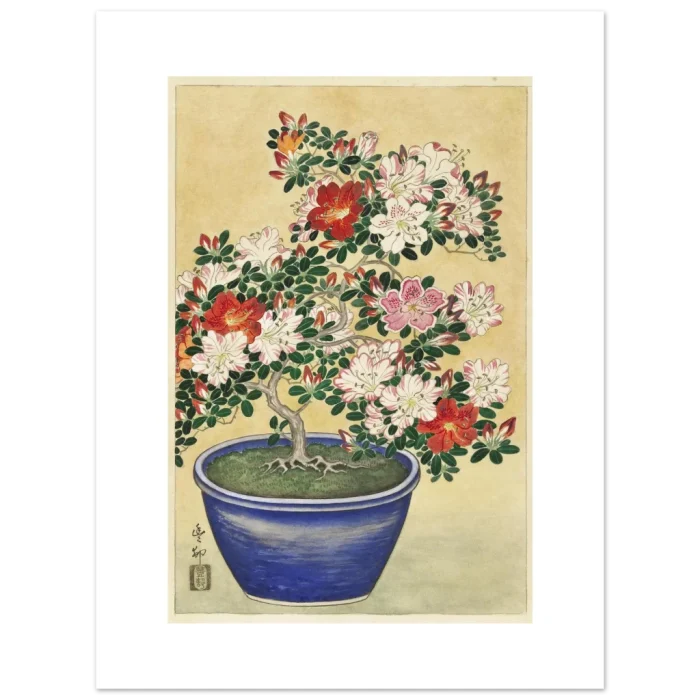 20f8099a-342d-4963-b41f-22fb564fd77e