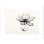 217836a4-e1f9-42aa-a193-32e6e2ac90e2