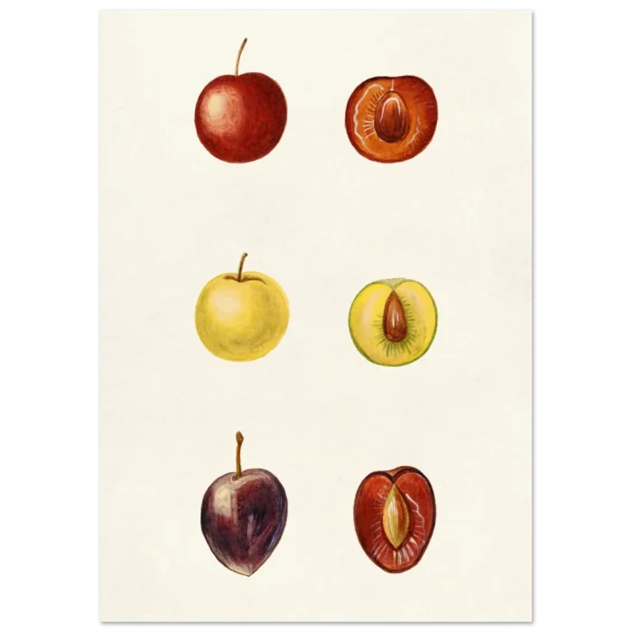 21802629-068e-49da-a3bf-3ecdfe3938f8