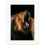 222351f2-e5aa-4998-8717-62dc2fa993a9