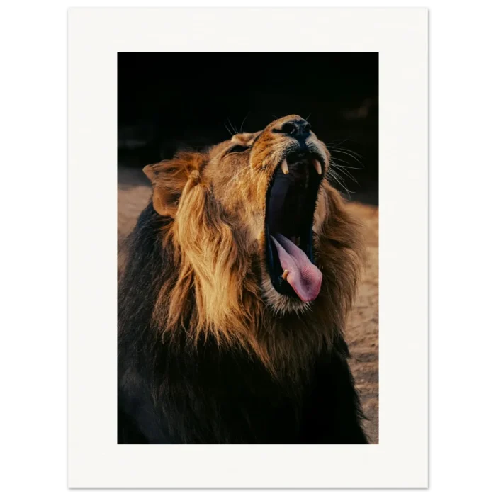 222351f2-e5aa-4998-8717-62dc2fa993a9