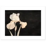 2325d2bb-17c7-481e-a33a-0e66d9d0b15e