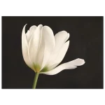 23f579e3-eba2-4f4d-a561-d28f80b25e50