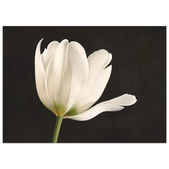 23f579e3-eba2-4f4d-a561-d28f80b25e50