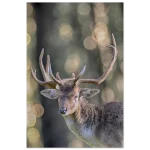 24235750-7441-4c27-b4f2-74cab1e11758