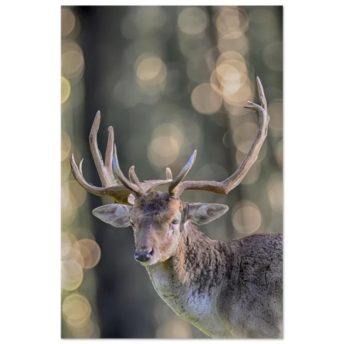 24235750-7441-4c27-b4f2-74cab1e11758