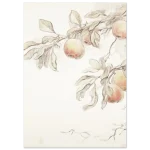 244fa4db-49b0-4612-b7b0-6344ea1f7265