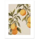 24a8e7b3-8a05-4bfc-ab24-def1cbc5b8cc