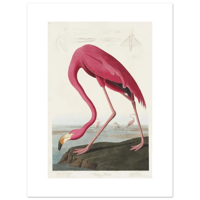 24fb0b49-af96-4504-8df2-46d3ef0db2e1