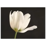 250523ae-ae53-43ba-92c9-4def4ff74013