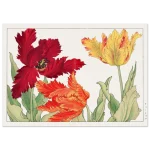 251a02ce-ef15-42b4-9405-a455534ad0d6