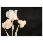 297dca77-a9e9-45cf-b323-56d3e203925c