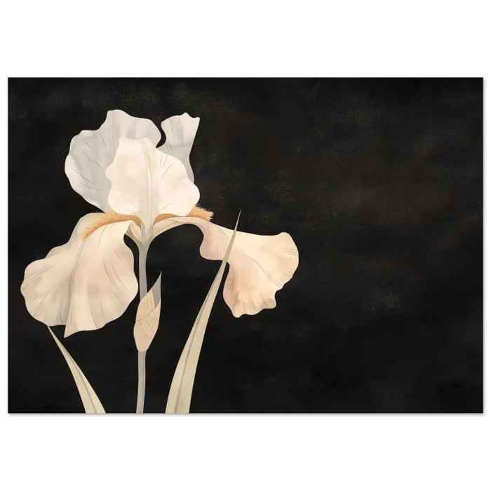 297dca77-a9e9-45cf-b323-56d3e203925c