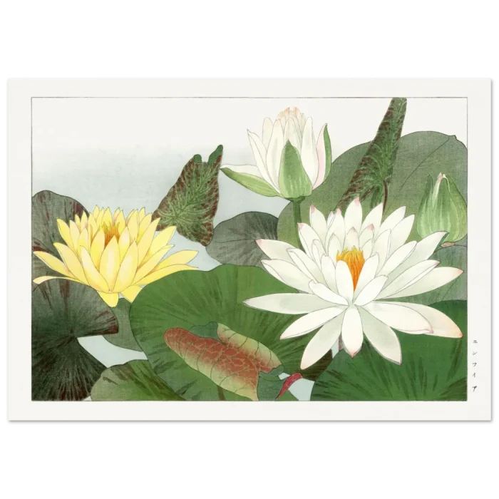 2a0d77ff-c2a4-4897-a6bf-ec73383b44e9