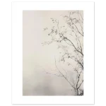 2a6bbe9b-f5c1-4ae7-aa91-afe82e00d101