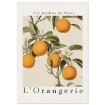 2aede38f-caf3-4b4c-8bbb-b7494f846188