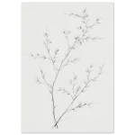 2bca3d40-8be0-4760-af76-22f5b2c2ea81