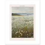 2bcc1d24-0e46-48b7-980d-7221e4b34819