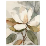 Soft Watercolor Magnolia Bloom - Premium Matte Paper Poster, 40 x 50 cm - Image 4