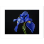 2c973583-408b-437c-ae26-b4af68c8e7ca