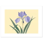 2ce1536f-0bbd-4bf5-b6f1-566d09f43624