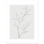 2d12863a-595f-4924-bcff-bcc434a06e82