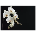 2d752cbb-6b5c-4545-a089-68995a1bd66d