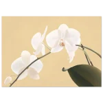 2f396bd5-3721-42b7-a697-6d3cf85dd4ee