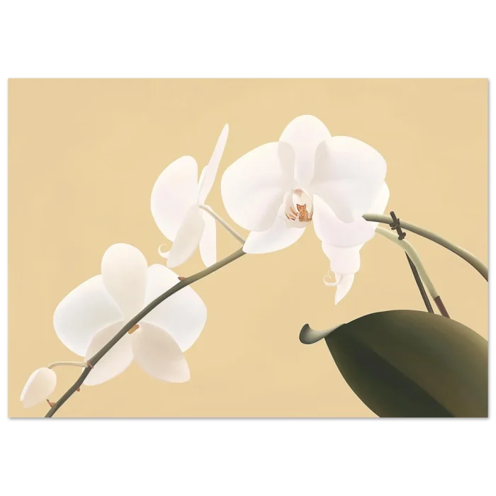 2f396bd5-3721-42b7-a697-6d3cf85dd4ee