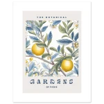 301aee41-ec00-4abc-baea-8ed0f12c058c