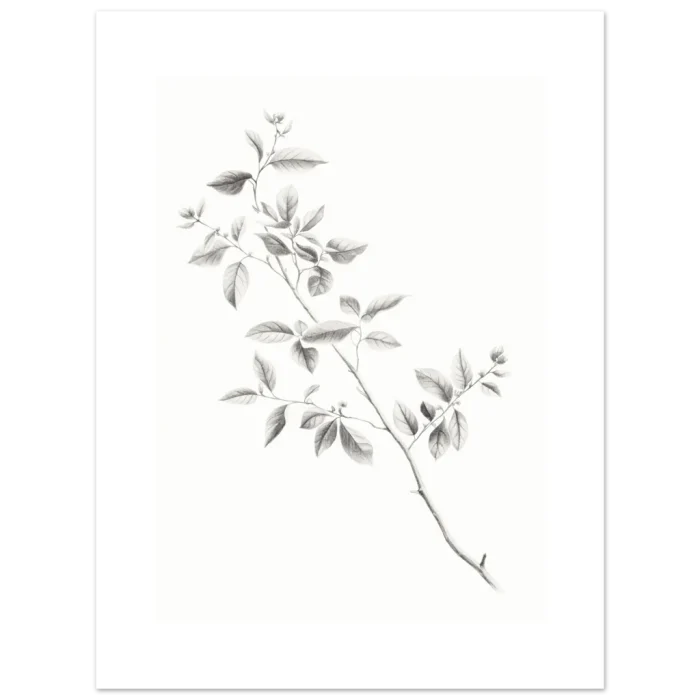 302ee1b2-2587-4e9b-97db-0aa0f54bdb58