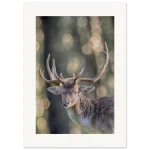 3048f9c0-9fbd-48c0-becc-557d6ee99dc5