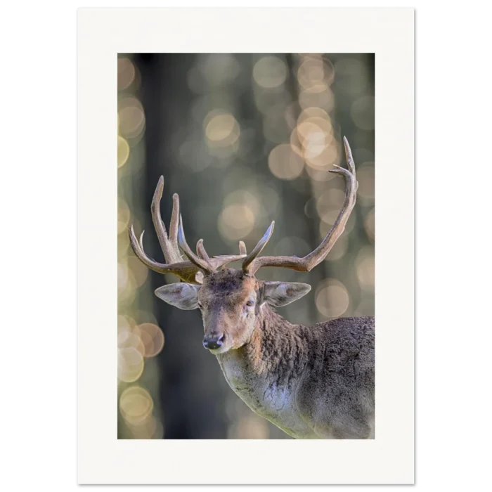 3048f9c0-9fbd-48c0-becc-557d6ee99dc5