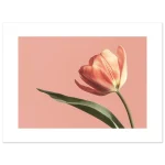 318b3c39-e7e5-424e-9c43-1cc468afdb6b